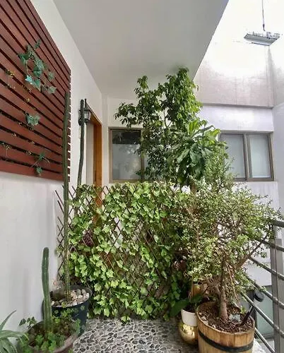 Juarez, Zona Rosa México DF